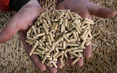 Z lesno biomaso kurimo ceneje