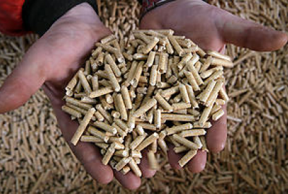 Z lesno biomaso kurimo ceneje